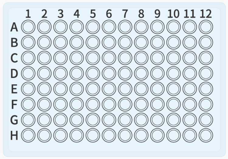 Printable 96 Well Plate Template Printable Word Searches
